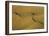 Namibia Structural Forms in the Sand of the Namib Desert-null-Framed Photographic Print