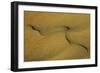 Namibia Structural Forms in the Sand of the Namib Desert-null-Framed Photographic Print