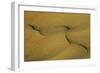 Namibia Structural Forms in the Sand of the Namib Desert-null-Framed Photographic Print