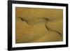 Namibia Structural Forms in the Sand of the Namib Desert-null-Framed Photographic Print