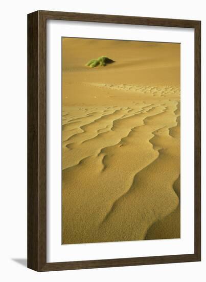 Namibia Structural Forms in the Sand of the Namib-null-Framed Photographic Print