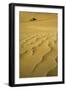 Namibia Structural Forms in the Sand of the Namib-null-Framed Photographic Print