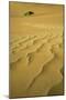 Namibia Structural Forms in the Sand of the Namib-null-Mounted Photographic Print