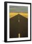 Namibia the Tarred Road B 4, West of the Village-null-Framed Photographic Print