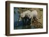 Namibia, Two African Bush Elephants Drinking Water from River, Elevated View-Nosnibor137-Framed Photographic Print