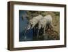 Namibia, Two African Bush Elephants Drinking Water from River, Elevated View-Nosnibor137-Framed Photographic Print