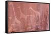 Namibia, Twyfelfontein. Ancient rock art at Twyfelfontein Country Lodge.-Jaynes Gallery-Framed Stretched Canvas