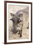 Namibia, Windhoek, Okapuka Ranch. Close-up of Warthog-Wendy Kaveney-Framed Photographic Print