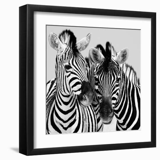 Namibia Zebras-Nina Papiorek-Framed Giclee Print