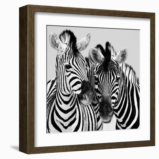 Namibia Zebras-Nina Papiorek-Framed Giclee Print