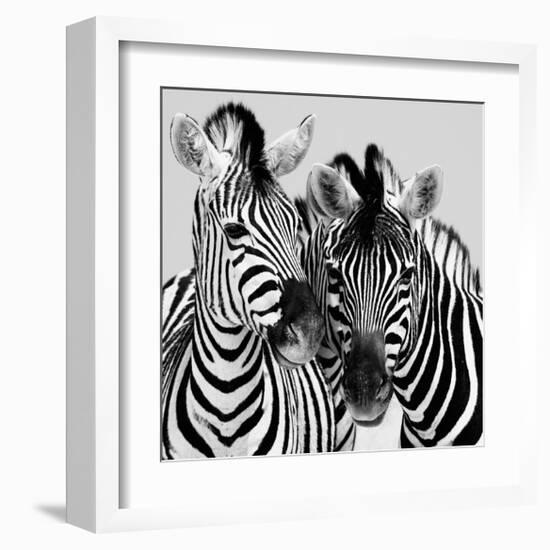 Namibia Zebras-Nina Papiorek-Framed Giclee Print