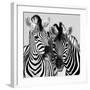 Namibia Zebras-Nina Papiorek-Framed Giclee Print