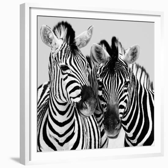 Namibia Zebras-Nina Papiorek-Framed Giclee Print