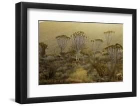 Namibia-Art Wolfe-Framed Photographic Print