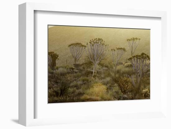 Namibia-Art Wolfe-Framed Photographic Print