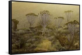 Namibia-Art Wolfe-Framed Stretched Canvas