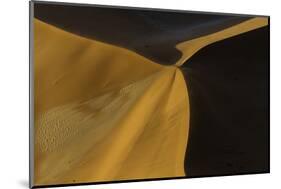 Namibia-Art Wolfe-Mounted Photographic Print