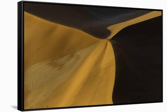 Namibia-Art Wolfe-Framed Stretched Canvas