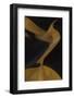 Namibia-Art Wolfe-Framed Photographic Print