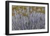 Namibia-Art Wolfe-Framed Photographic Print