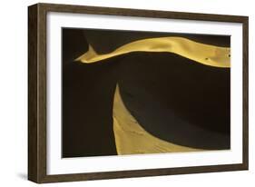 Namibia-Art Wolfe-Framed Photographic Print