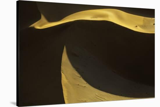 Namibia-Art Wolfe-Stretched Canvas