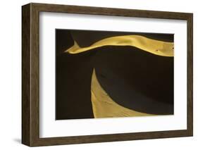 Namibia-Art Wolfe-Framed Photographic Print