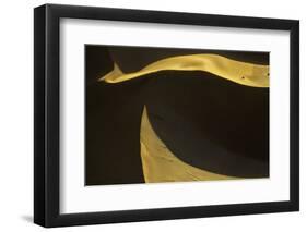 Namibia-Art Wolfe-Framed Photographic Print