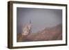 Namibian Dawn-Valda Bailey-Framed Photographic Print