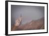 Namibian Dawn-Valda Bailey-Framed Photographic Print