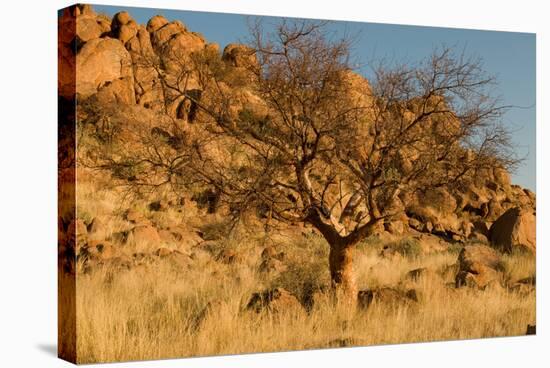 Namibian Landscape-photofit-Stretched Canvas