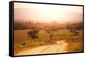 Namibian Landscape-Andrushko Galyna-Framed Stretched Canvas