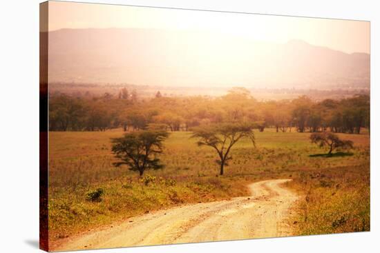 Namibian Landscape-Andrushko Galyna-Stretched Canvas