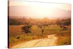 Namibian Landscape-Andrushko Galyna-Stretched Canvas