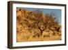 Namibian Landscape-photofit-Framed Photographic Print