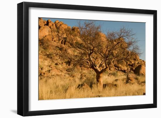 Namibian Landscape-photofit-Framed Photographic Print