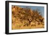 Namibian Landscape-photofit-Framed Photographic Print