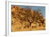 Namibian Landscape-photofit-Framed Photographic Print