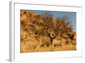 Namibian Landscape-photofit-Framed Photographic Print