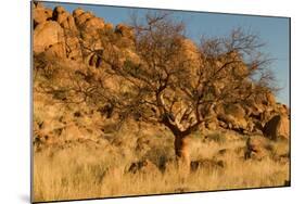 Namibian Landscape-photofit-Mounted Photographic Print