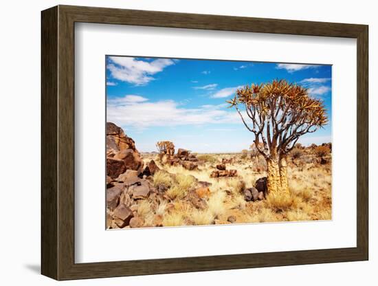 Namibian Landscape-DmitryP-Framed Photographic Print