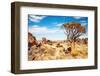 Namibian Landscape-DmitryP-Framed Photographic Print