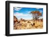 Namibian Landscape-DmitryP-Framed Photographic Print