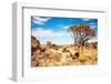 Namibian Landscape-DmitryP-Framed Photographic Print