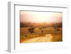 Namibian Landscape-Andrushko Galyna-Framed Photographic Print