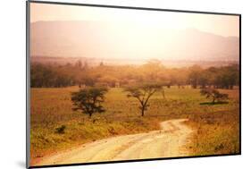 Namibian Landscape-Andrushko Galyna-Mounted Photographic Print