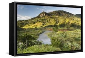 Namorona River, Ranomafana National Park, Madagascar Central Highlands, Madagascar, Africa-Matthew Williams-Ellis-Framed Stretched Canvas