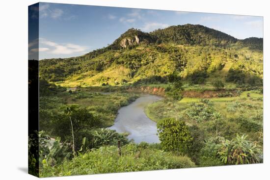 Namorona River, Ranomafana National Park, Madagascar Central Highlands, Madagascar, Africa-Matthew Williams-Ellis-Stretched Canvas