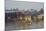 Nampan Village, Inle Lake, Shan State, Myanmar (Burma), Asia-Tuul-Mounted Photographic Print