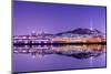 Namsan Mountain and Seoul Tower with Reflections.-SeanPavonePhoto-Mounted Photographic Print